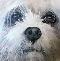 a painting of a white dog with brown eyes