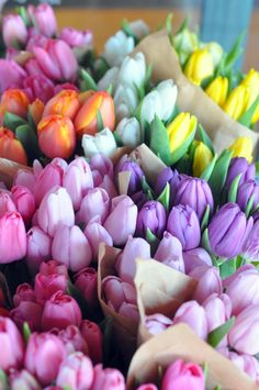 a bunch of colorful tulips sitting on top of each other