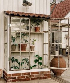 an old window is filled with potted plants and other houseplants on display