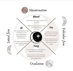 Tcm Traditional Chinese Medicine, The Menstrual Cycle, Yoga Information, Low Estrogen Symptoms, Eastern Medicine, Ayurvedic Healing, Moon Journal