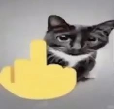 a black and white cat is holding up a yellow curvy arrow to the camera