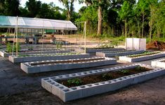 several raised garden beds in the middle of a dirt area with trees and buildings behind them