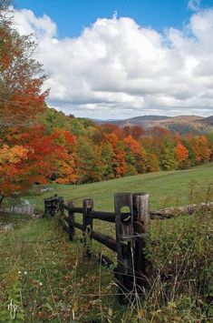 a wooden fence in the middle of a field surrounded by trees with fall foliages