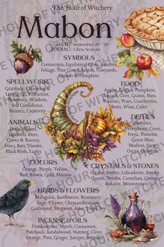 The Sabbats, Scorpio Symbol, Wheel Of The Year, Crows Ravens, Witch Spell, Baby Witch, Witch Magic, Witchy Woman