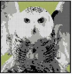 an owl is shown in black and white with the background painted green, it appears to be pixellated