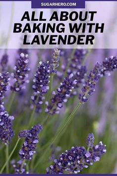 lavender flowers with the words all about baking with lavender