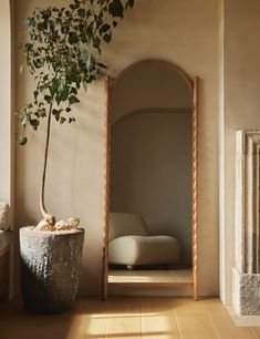 a potted plant sitting next to a mirror in a room