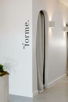 there is a white wall with the name toltime on it and a plant in front