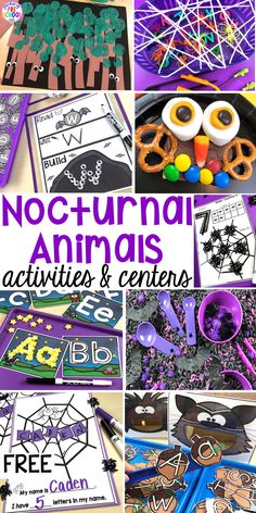 there are pictures of different activities for kids to do with the animals and spider webs