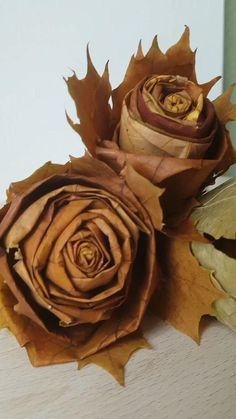 two brown flowers sitting on top of a wooden table