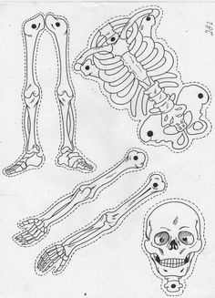 the skeleton and its bones are shown in black and white, as well as an image of