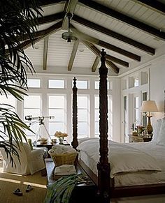 a large bed sitting in a bedroom next to a tall palm tree on top of a hard wood floor