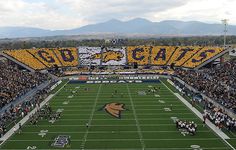 a football stadium filled with lots of people