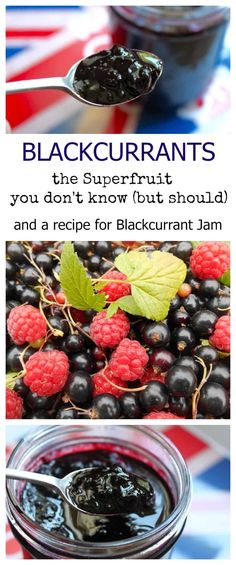 black currans and berries with text overlay that says, the superfruitt you don't know but should