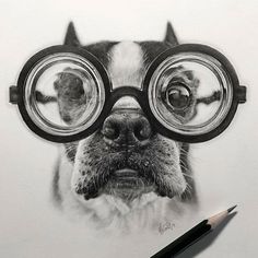 a pencil drawing of a dog with glasses on it's face, looking at the camera