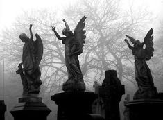 three statues with angel wings on top of headstones in front of foggy trees