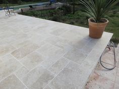 a large potted plant sitting on top of a stone patio next to a swimming pool