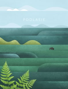 an illustration of a bear in the middle of a field with trees and hills behind it