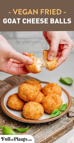 Vegan Cheese Biscuits, Fried Goat Cheese Balls, Vegan Appetizers Easy, Vegan Cheese Ball, Goat Cheese Balls, Vegan Apps, Vegan Appetizer, Fried Goat Cheese, Fried Cheese