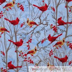 a flock of red birds sitting on top of a tree filled with leaves and berries