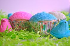 colorful cupcakes with sprinkles on them sitting in the green grass