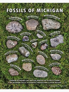 the poster shows different types of rocks and their names in english, spanish, and french