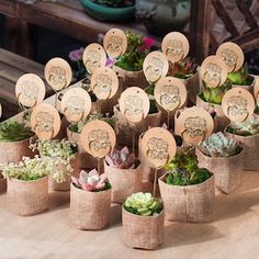 there are many succulents in small pots on the table with tags attached to them