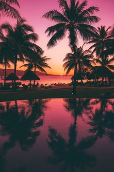 palm trees and umbrellas are reflected in the water at sunset on a tropical beach