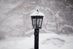 a street light covered in snow on a snowy day