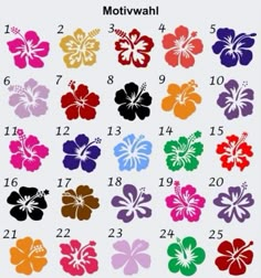 an image of hawaiian flowers with the numbers in each color and number on each side