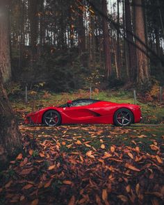 a red sports car parked next to a tree in the middle of a wooded area