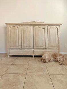 a dog is laying on the floor next to a white cabinet with doors and drawers