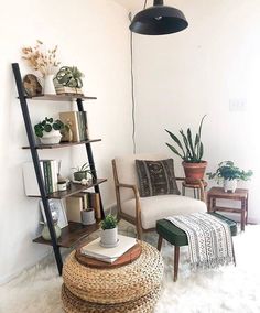 a living room filled with lots of furniture and plants on top of bookshelves