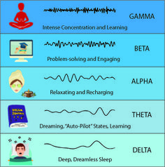 the five main stages of sleep and how they are used to help them learn their language