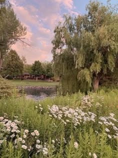 a pond surrounded by lots of trees and flowers