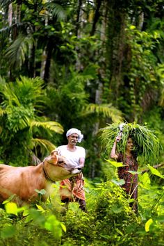 two people standing in the woods with plants on their shoulders and one holding a cow