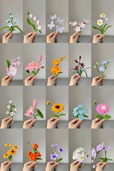 many different types of flowers being held by someone's hand with their fingers in the air