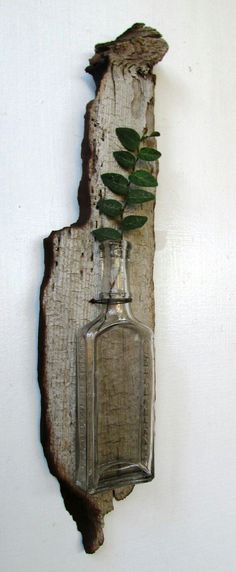 a bottle with leaves in it hanging on a wall