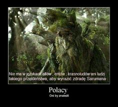 an image of a troll in the middle of a forest with words written below it