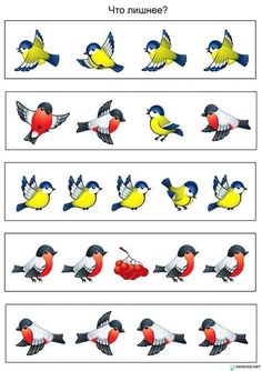 an image of birds in different colors