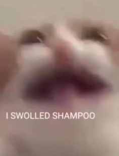 a blurry photo of a cat's face with the words i swollen shampoo on it