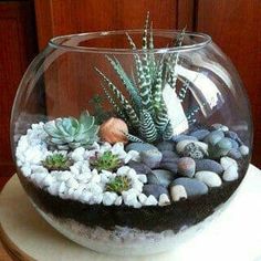 a glass bowl filled with rocks and succulents