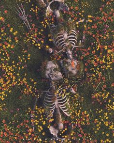 two skeletons laying in the grass surrounded by wildflowers and daisies, looking down at each other