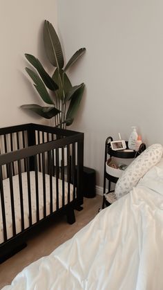 a baby crib next to a bed with white sheets on it and a potted plant in the corner