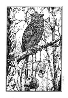 an owl sitting on top of a tree branch next to two human skulls in the woods