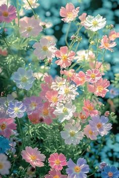 many different colored flowers are growing together