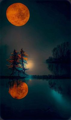 a full moon rising over a lake with trees in the foreground and water reflecting it's surface