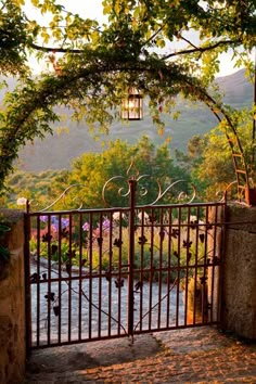 an iron gate is open to reveal a garden with flowers and trees in the background