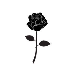 a single black rose on a white background