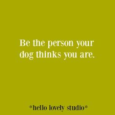 a green background with the words be the person your dog thinks you are hello lovely studio